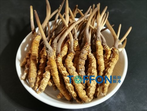 ​ 中药材冷冻干燥机应用案例解析(二)