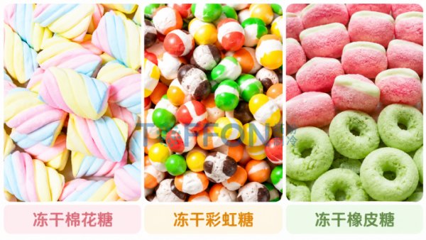 从Q弹到酥脆，冷冻干燥机如何改变传统糖果的口感