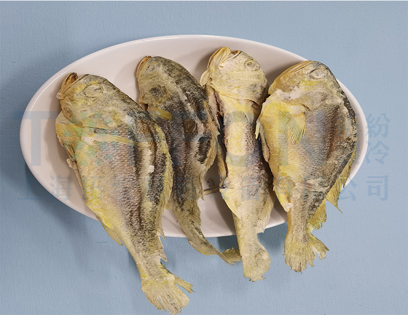 黄花鱼冻干，食品冻干机应用于黄花鱼真空冷冻干燥