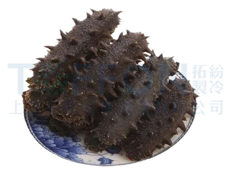 海参冻干，海鲜食品冻干技术应用于海参冻干