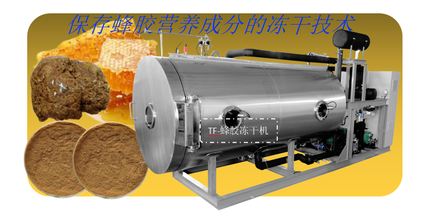图片207.1.png