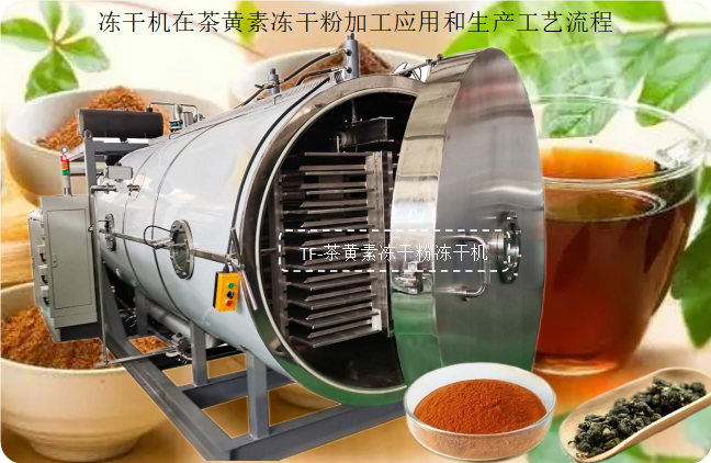 微信图片_20230511085243.png