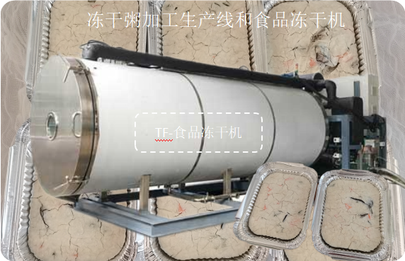 冷冻干燥机|冻干机|真空冷冻干燥机|大型冷冻干燥机|食品冻干机|制药真空冷冻干燥机|食品冻干设备|制药冷冻干燥机