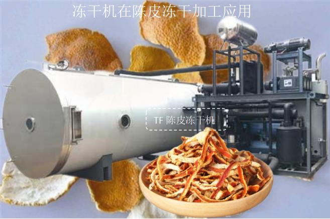 冷冻干燥机|冻干机|真空冷冻干燥机|大型冷冻干燥机|食品冻干机|制药真空冷冻干燥机|食品冻干设备|制药冷冻干燥机