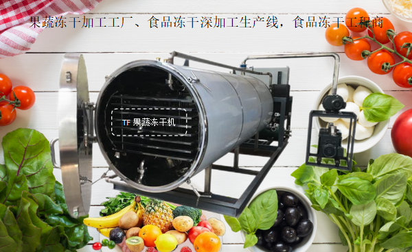 冷冻干燥机|冻干机|真空冷冻干燥机|大型冷冻干燥机|食品冻干机|制药真空冷冻干燥机|食品冻干设备|制药冷冻干燥机