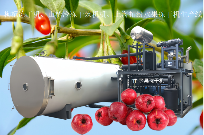冷冻干燥机|冻干机|真空冷冻干燥机|大型冷冻干燥机|食品冻干机|制药真空冷冻干燥机|食品冻干设备|制药冷冻干燥机