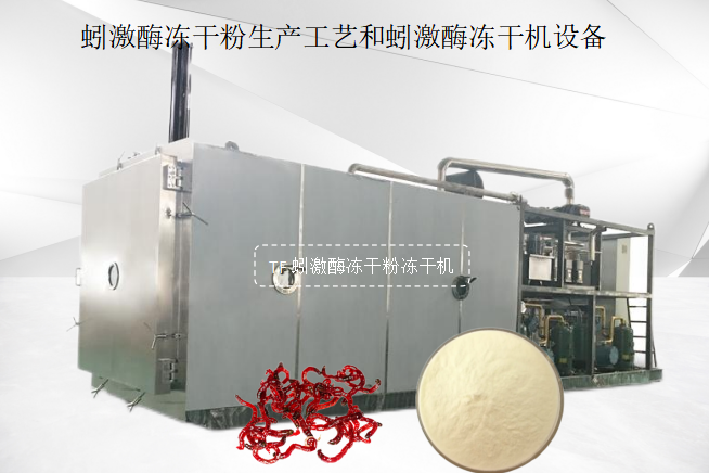 冷冻干燥机|冻干机|真空冷冻干燥机|大型冷冻干燥机|食品冻干机|制药真空冷冻干燥机|食品冻干设备|制药冷冻干燥机