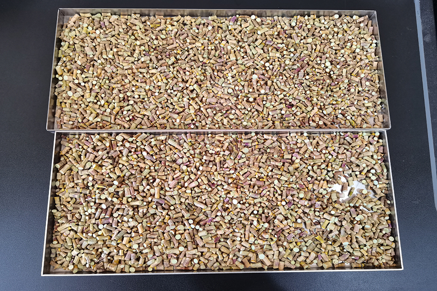 石斛冻干：冻干机应用石斛冷冻干燥工艺流程