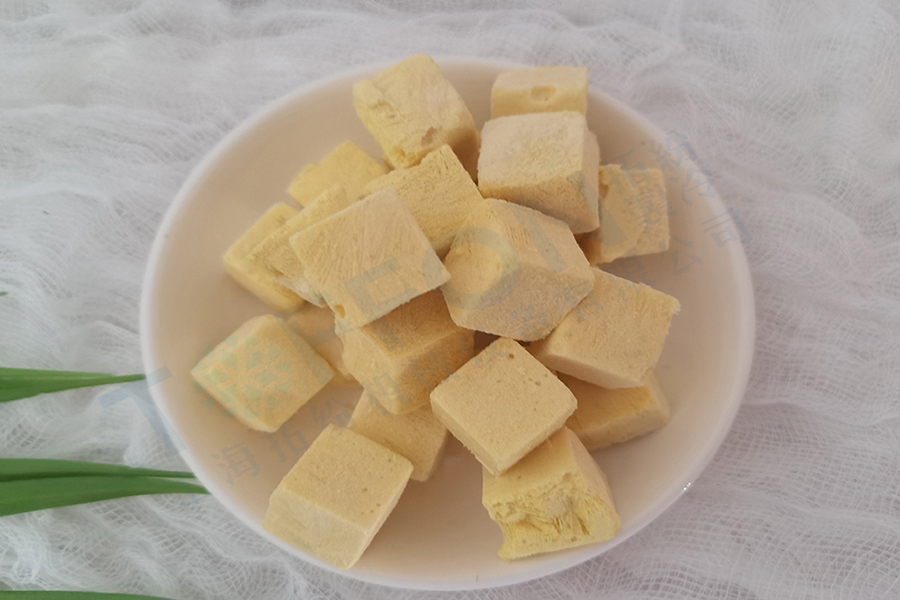 芒果酸奶块冻干：食品冷冻干燥机在水果酸奶块冻干加工优势