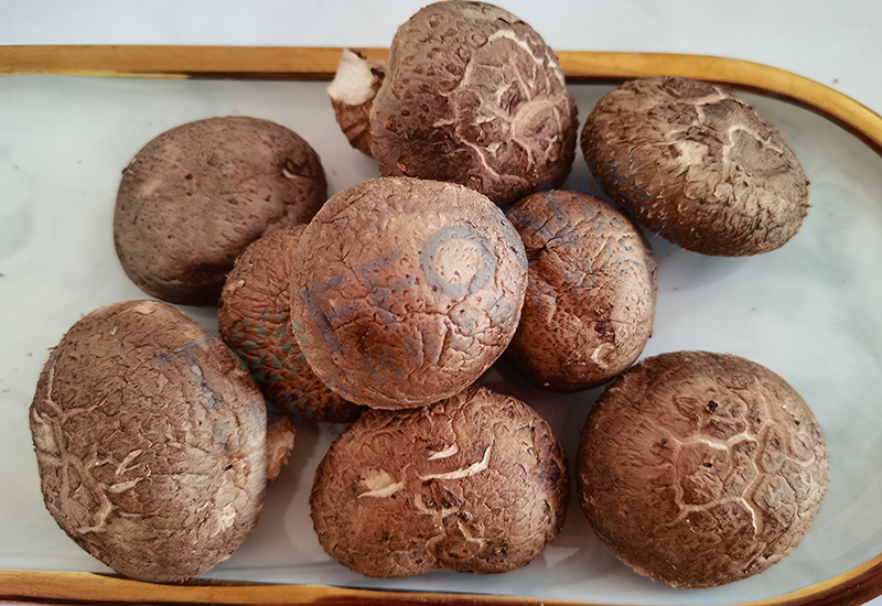 香菇冻干：食用菌冻干技术介绍及应用