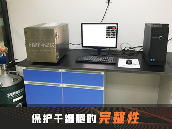 冷冻干燥机|冻干机|真空冷冻干燥机|大型冷冻干燥机|食品冻干机|制药真空冷冻干燥机|食品冻干设备|制药冷冻干燥机