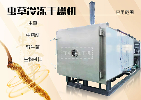 冷冻干燥机|冻干机|真空冷冻干燥机|大型冷冻干燥机|食品冻干机|制药真空冷冻干燥机|食品冻干设备|制药冷冻干燥机