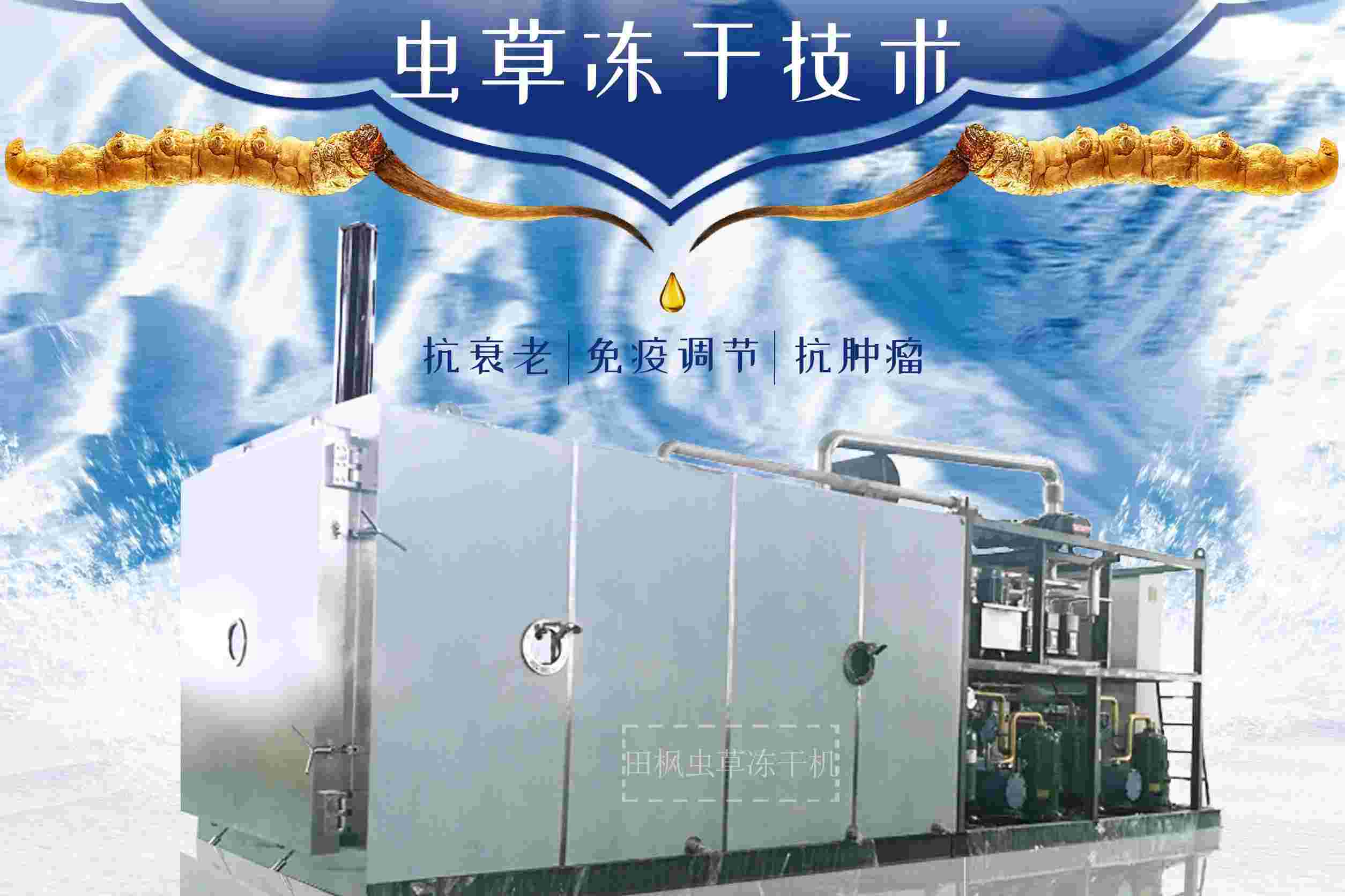 虫1.jpg