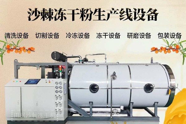 沙2~1.jpg