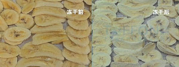 香蕉冻干，随时享用酥脆美味